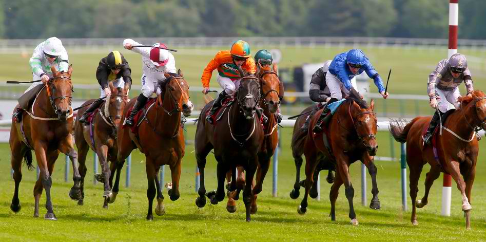 quiz-horse-racing-terms-great-british-racing