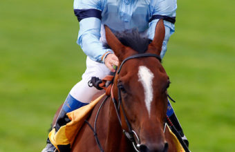 Harbinger Highclere Racing